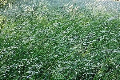 《纸嫁衣5：无间梦境》新预告 7月21日正式上线